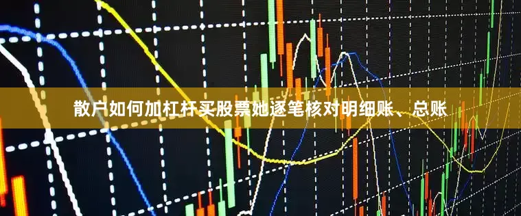 散户如何加杠杆买股票她逐笔核对明细账、总账
