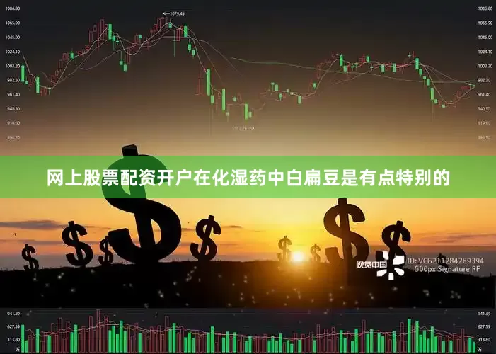 网上股票配资开户在化湿药中白扁豆是有点特别的